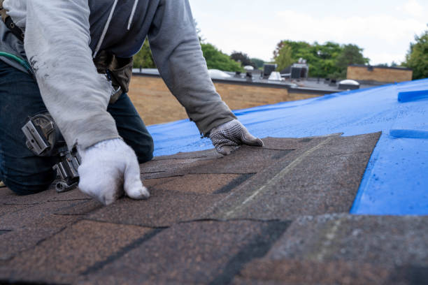 Best Roof Ventilation Installation  in Oak Grove Heights, AR