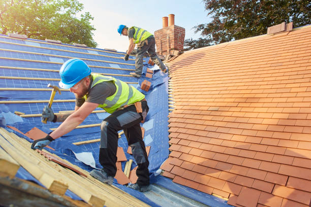 Best Gutter Installation and Repair  in Oak Grove Heights, AR